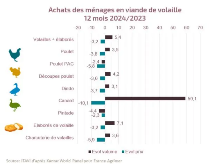 En 2024, les achats de volailles sont en hausse de +5,4 % en volume vs 2023, après une hausse de de +1,8 % en 2023 vs 2022.