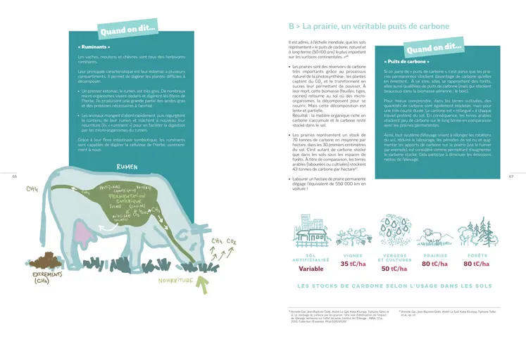 Le livre blanc propose un focus spécifique sur la captation de carbone par la prairie.