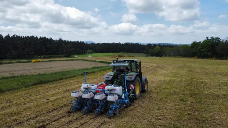 Le strip-till limite l'érosion des terrains et réduit les besoins en carburant. En revanche, son usage est plus difficile, plus précis, et donc plus risqué en termes de rendements.