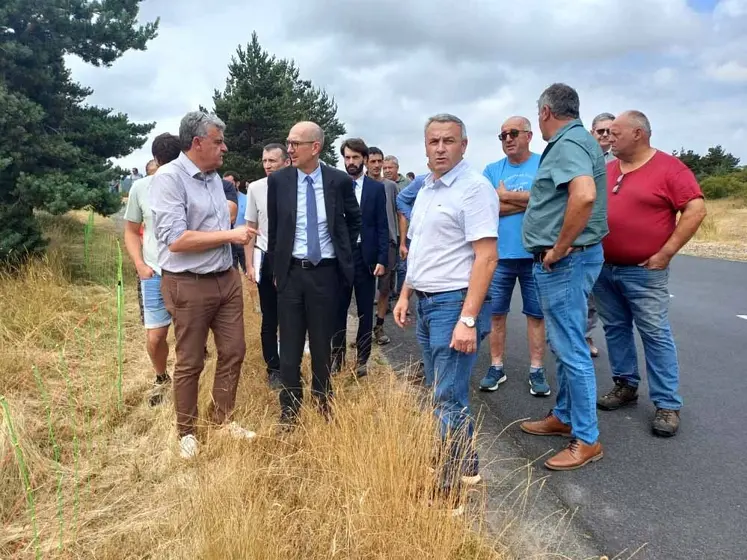 La FDSEA, les JA et la Chambre d'agriculture ont invité le Préfet et les services de l'état à se rendre sur une parcelle prédatée par le loup.