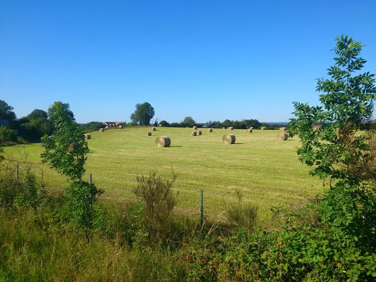 bottes de foin dans un pré en Creuse