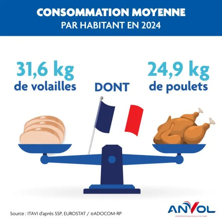 Consommation moyenne par habitant de volailles en France.