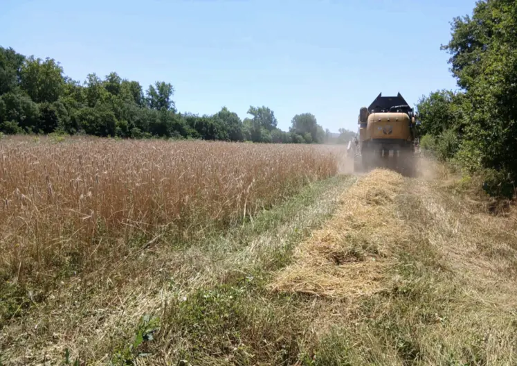 machine agricole dans champs