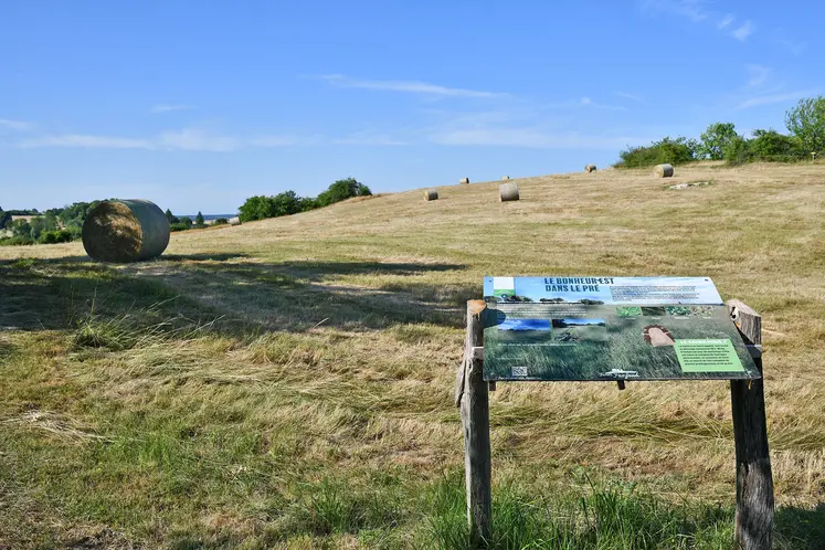 sentier de randonnée