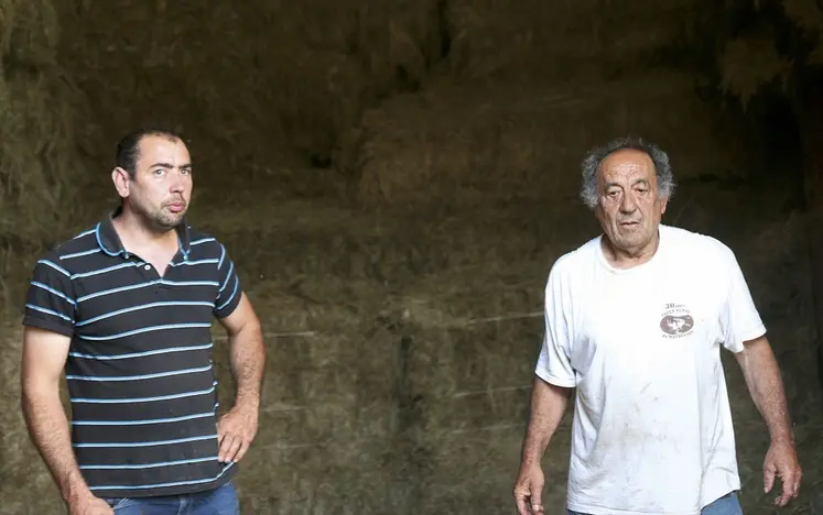 Damien et Didier Pratlong regardent leur troupeau partir