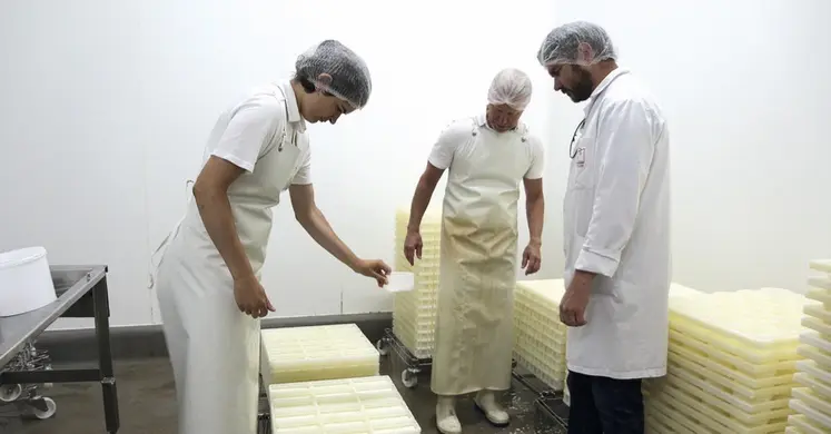 La fromagerie du Fédou en plein travail