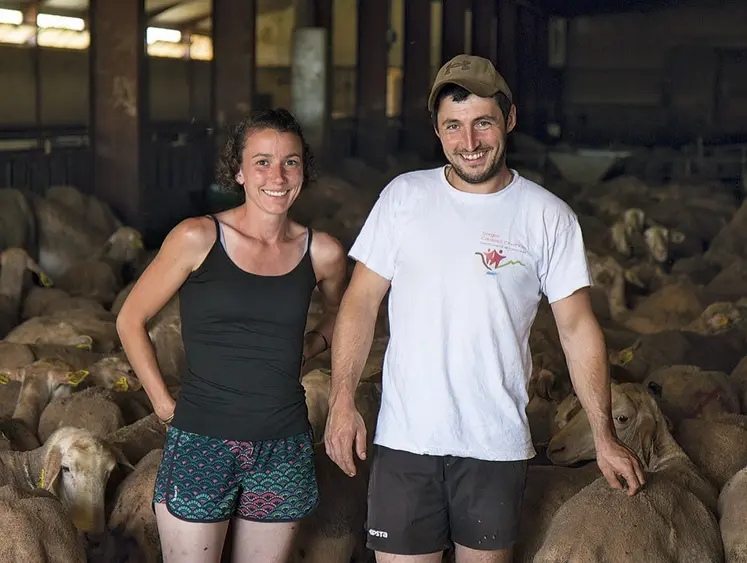Bastien Perségol et Mathilde Richard avec leur troupeau de brebis laitières