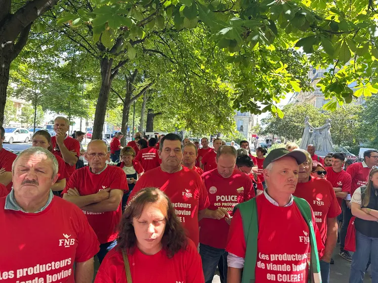 Les éleveurs se sont retrouvés à proximité de l'ambassade du Brésil à Paris.
