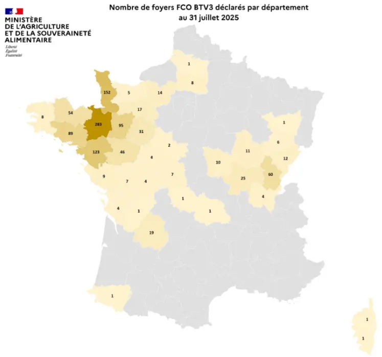 FCO 3 et FCO 8 : ces deux sérotypes sont désormais considérés comme enzootiques en France, ce qui a conduit à un allègement des mesures de gestion.