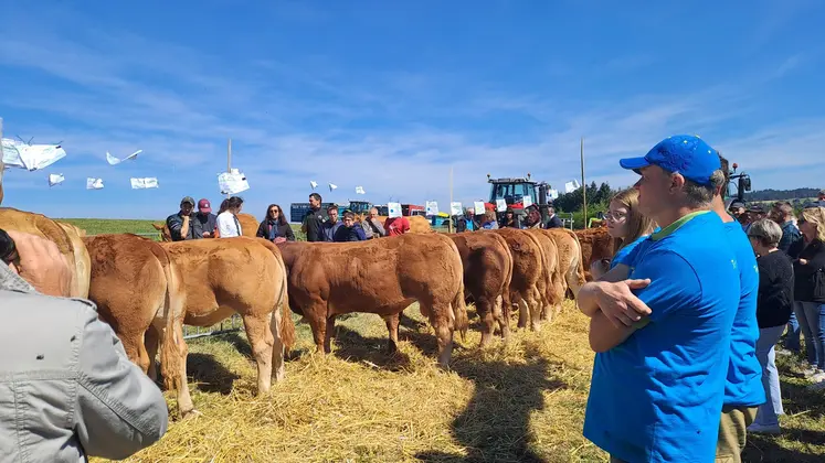 Un protocole sanitaire strict avait été mis en place par les organisateurs : "le but d'un concours est de motiver les éleveurs, pas de rentrer avec des animaux malades" explique Alain Valleix, président du Syndicat Limousin.