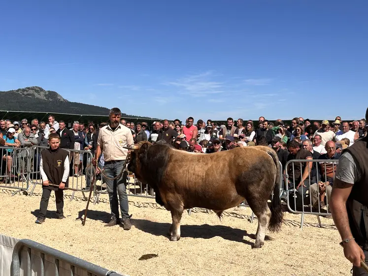 La vente aux enchères a été suivie par un public très nombreux.