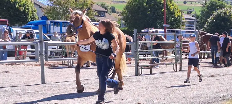 Ce dimanche à Araules , Lauriane Ludon-Portal présentera l'une des 2 juments en concours aux Estables.