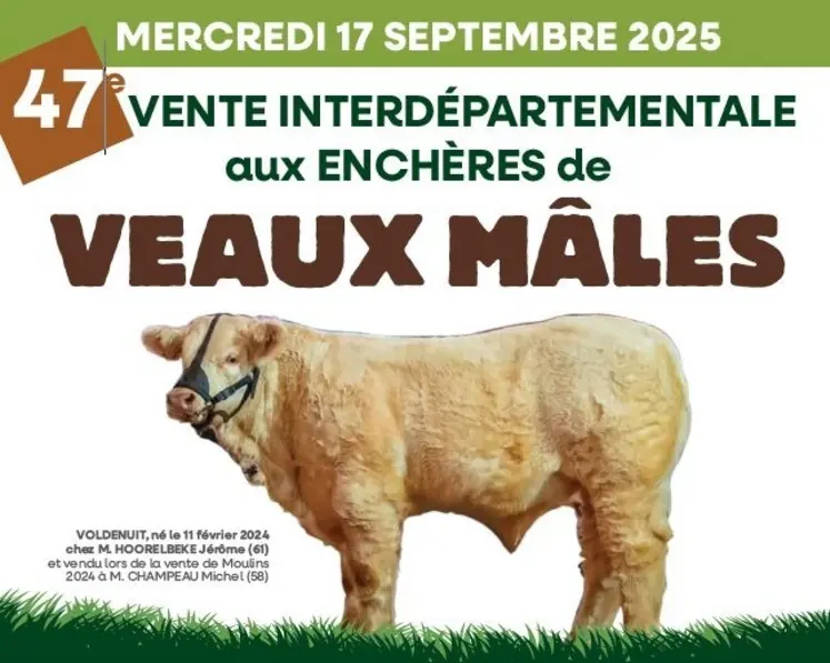 Affiche 47ème vente ALSONI