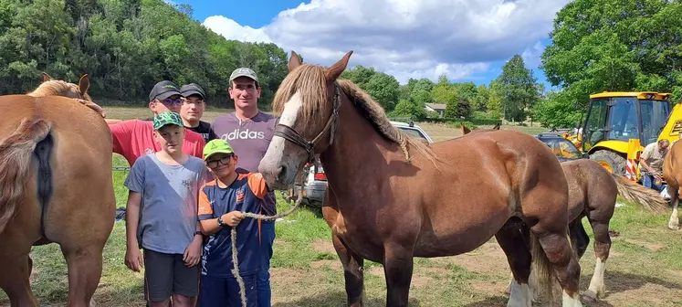 Les concours de chevaux, ça se passe en famille, comme pour le président Vincent Faure aidé ce jour par ses deux fils Alex et Clément et neveux Aymeric et Julian.