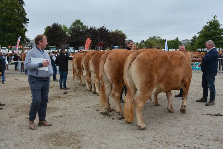 Les juges et le public ont pu apprécié la grande qualité des animaux présentés.