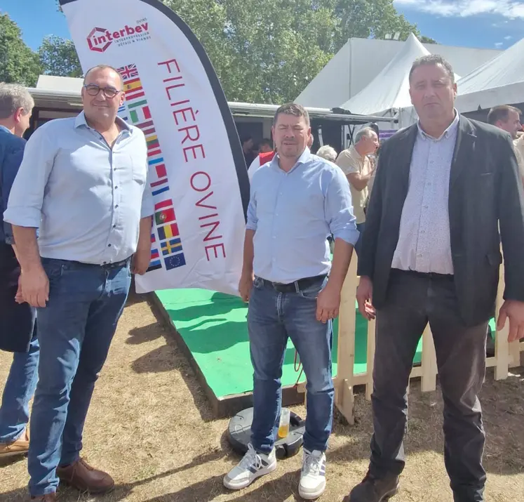 Brice Guyau entre Cédric Tranquard et Daniel Couderc, président et vice-président de la FNSEA Nouvelle-Aquitaine