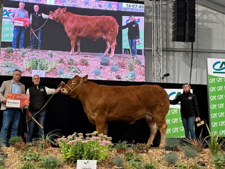 Salamandre, au Gaec Desassure, premier prix de challenge IA Femelle.