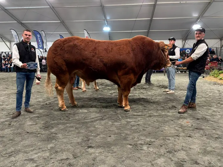 Toubeau au Gaec Desassure.