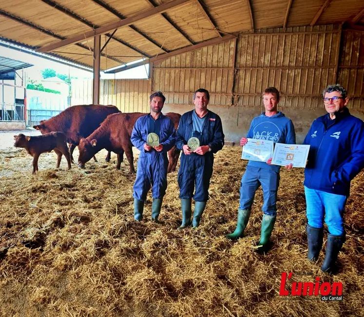 trois éleveurs et un technicien tiennent des trophées aux côtés de vaches et veaux salers