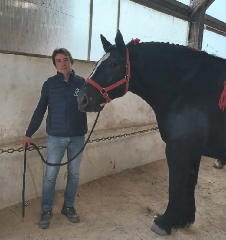 Baptiste Charpin, éleveur équin à Vaumas, met à l’honneur le Percheron.