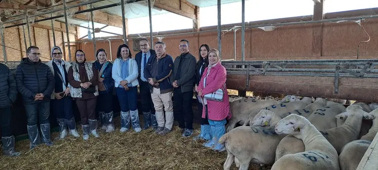 Une délégation marocaine a visité le Site génétique et expérimental de Paysat-Bas, en amont du Sommet de l'élevage.