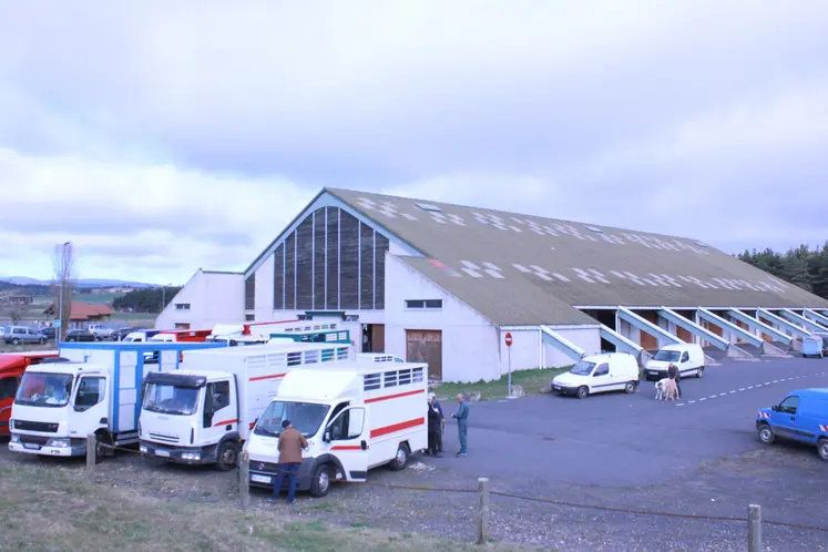Les marchés aux bovins sont interdits depuis dimanche et jusqu'au 5 novembre.