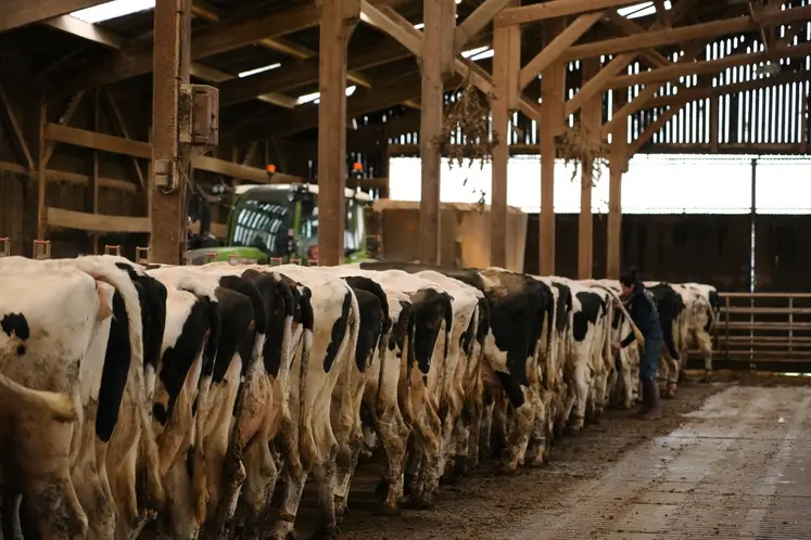 Pour les producteurs de lait, l'interprofession doit être une instance de dialogue  sur tous les sujets.