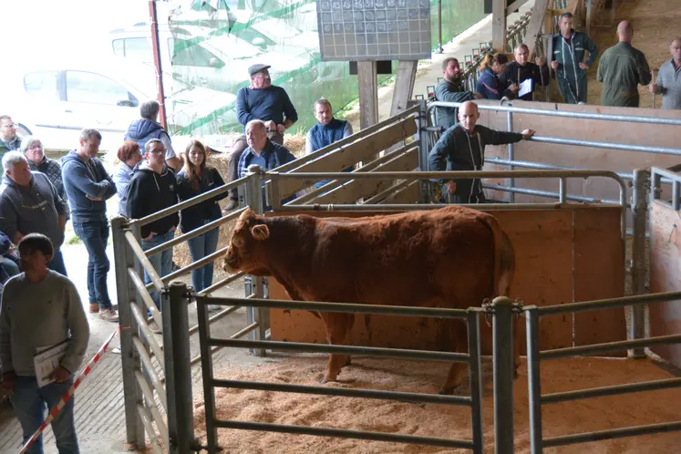 Virtuo est partie pour la somme de 11400€.