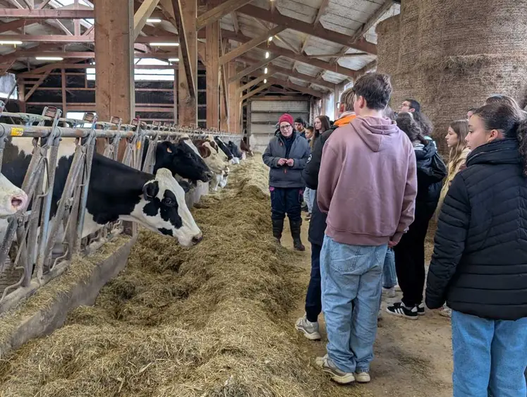 Les collégiens ont découvert des élevages laitiers mais aussi des laiteries.