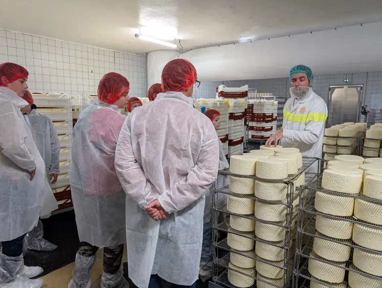 Les collégiens ont visité plusieurs laiteries.