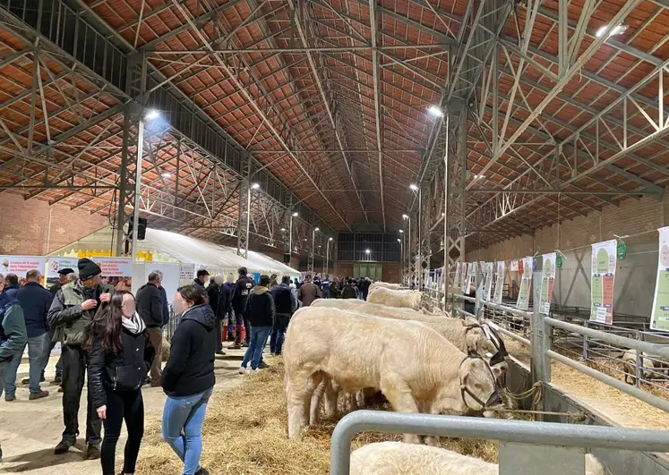 vue d'ensemble du concours de Montmarault