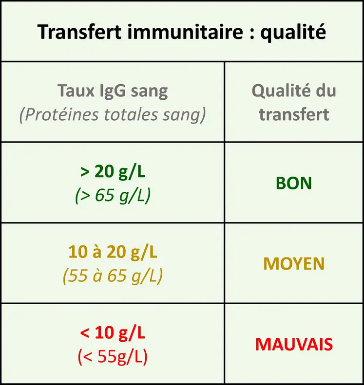 Un bon transfert immunitaire est gage de bonne santé pour le veau. S’il est insuffisant, l’éleveur sera amené à analyser les causes possibles : prise trop tardive du colostrum, quantité ou qualité insuffisante, veaux voleurs.