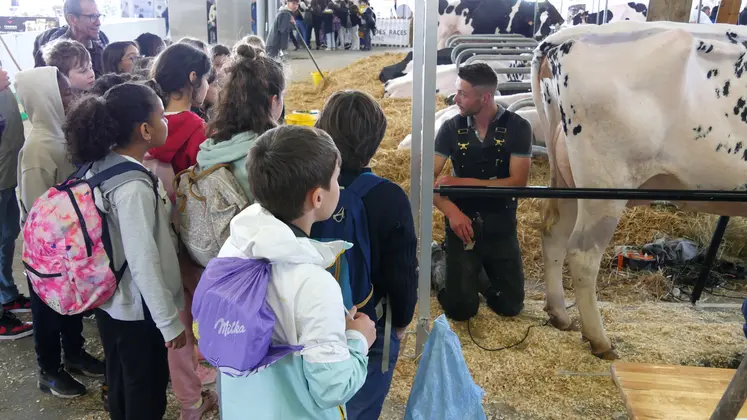 Le parcours spécial scolaire sera toujours d'actualité en 2026