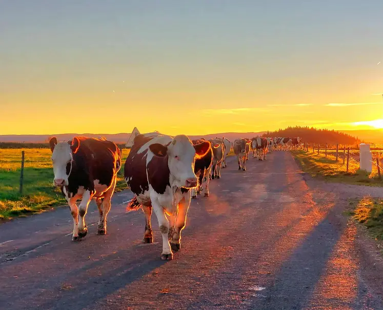 Nicolas Faisandier, de Saint-Jean-Lachalm, remporte la première place avec sa photo « Regardez ce qu’octobre illumine ».