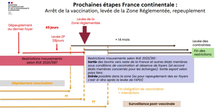 Lors de la découverte d’un foyer, des mesures de zonage et de vaccination sont mises en place. La zone de protection s’efface 28 jours après le dernier foyer, et 45 jours après, si le niveau de vaccination collective est satisfaisant (au moins 80 %), la zone réglementée devient zone vaccinale. Elle le reste ensuite pendant 14 mois après la dernière injection. Ces éléments doivent être pris en considération pour évaluer la pertinence d’une éventuelle poursuite de la vaccination dans ce...
