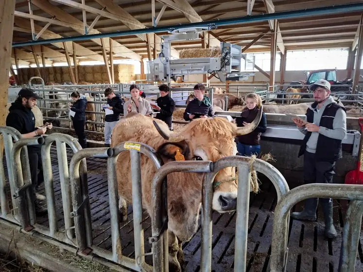 Les candidats concentrés dans l’exercice de pointage