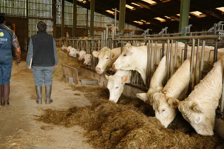 La région Auvergne-Rhône-Alpes subventionne les investissements dans les bâtiments d'élevage.