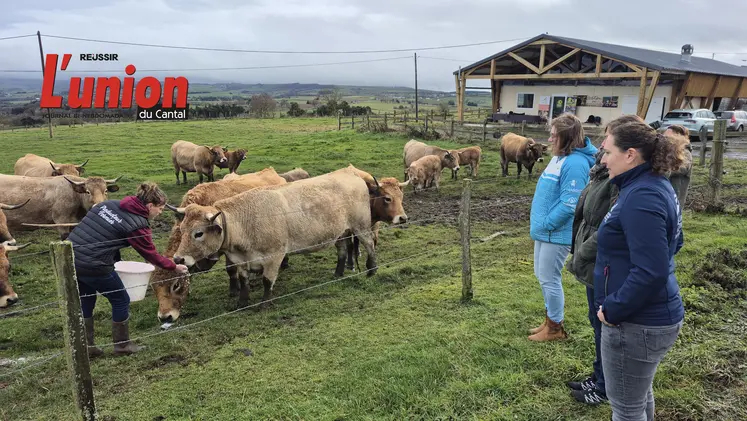 Des personnes regardent l'agricultrice donner à manger à ses vaches
