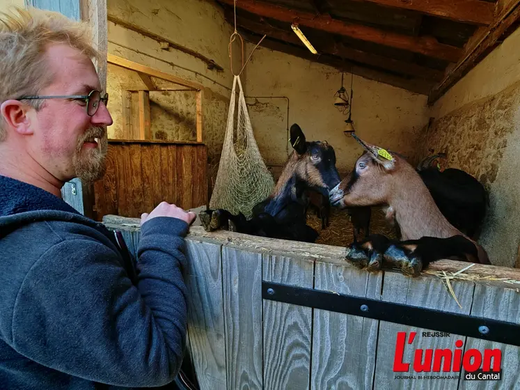 Chevrier à Boisset. 