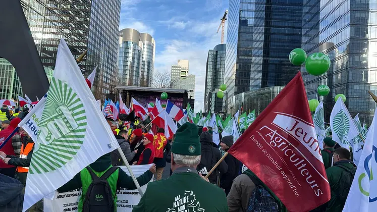 Manifestants portant les drapeaux de la FNSEA et des Jeunes Agriculteurs devant les institutions européennes à Bruxelles, lors de la mobilisation contre le Mercosur le 18 décembre 2025.