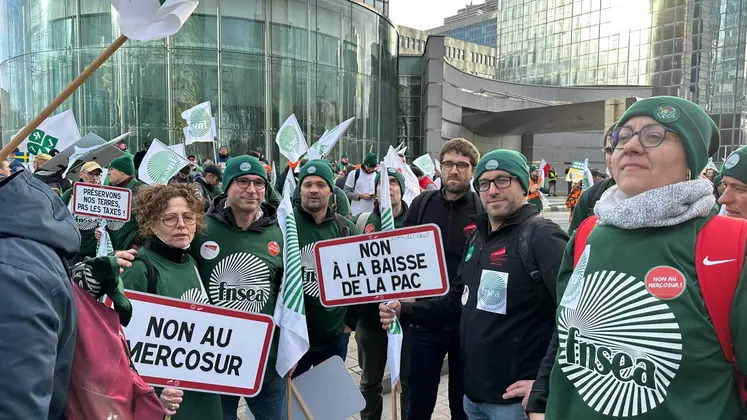 Manifestants tenant des panneaux de signalisation affichant les revendications des agriculteurs à la mobilisation du 18 décembre 2025 à Bruxelles, s'opposant à l'accord de libre échange UE-Mercosur.