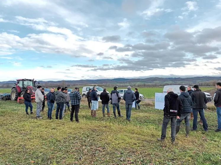 Une trentaine d'agriculteurs sont venus s'informer sur les bénéfices des couverts végétaux.