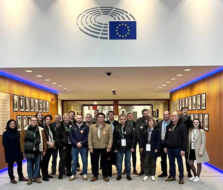 La délégation d'Auvergne-Rhône-Alpes en séminaire à Bruxelles.