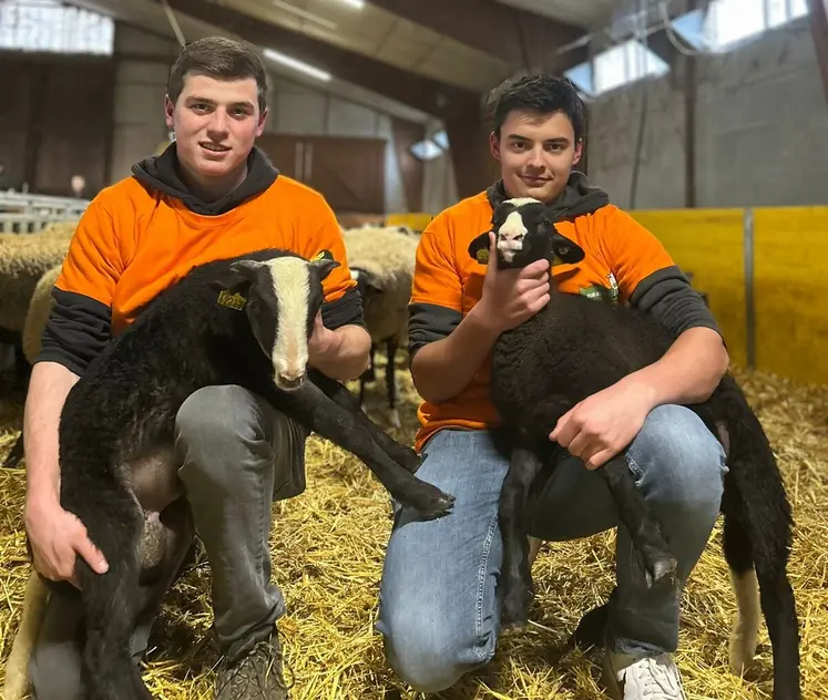 Alexandre et Simon, es deux vainqueurs de la finale auvergnate des ovinpiades des jeunes bergers.