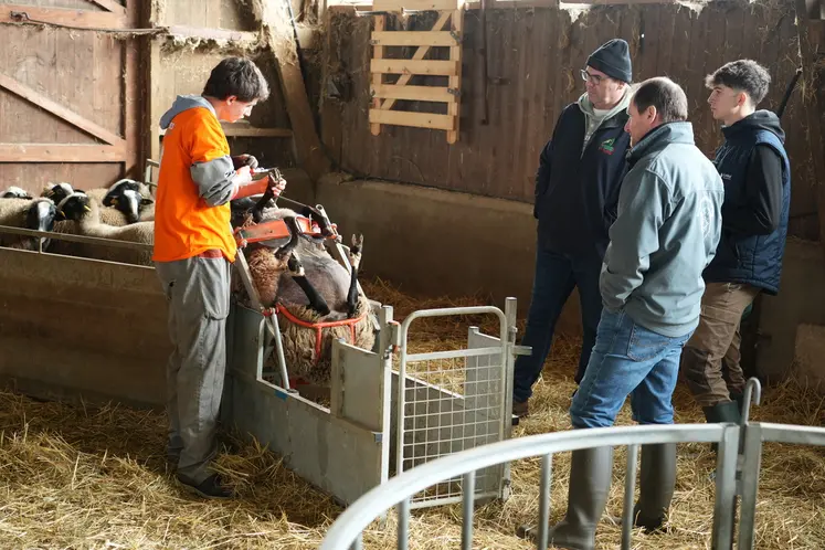 Un jury concentré pour évaluer les performances des candidats. Parmi eux, Mathis (au centre), élève finaliste des ovinpiades régionales 2025.