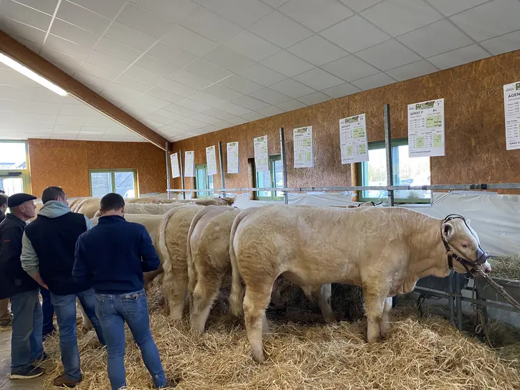 vue d'ensemble Inno'vente du Marault