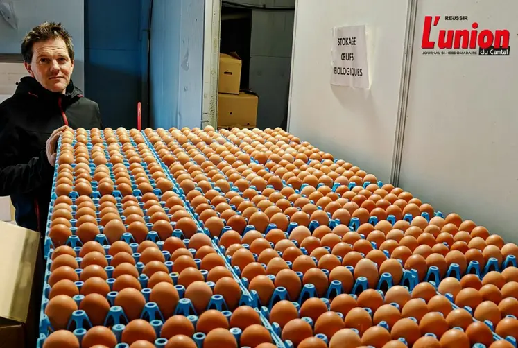 éleveur de poules pondeuses devant sa production d'oeufs. 