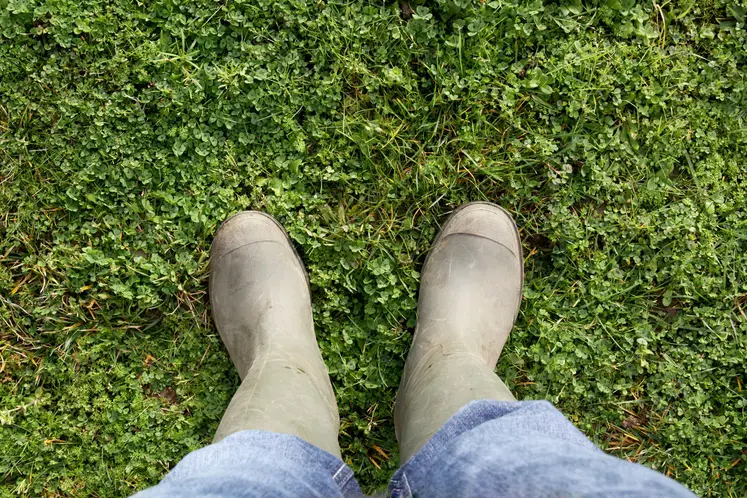 Vous n’êtes pas seul : Agri’écoute 09 69 39 29 19