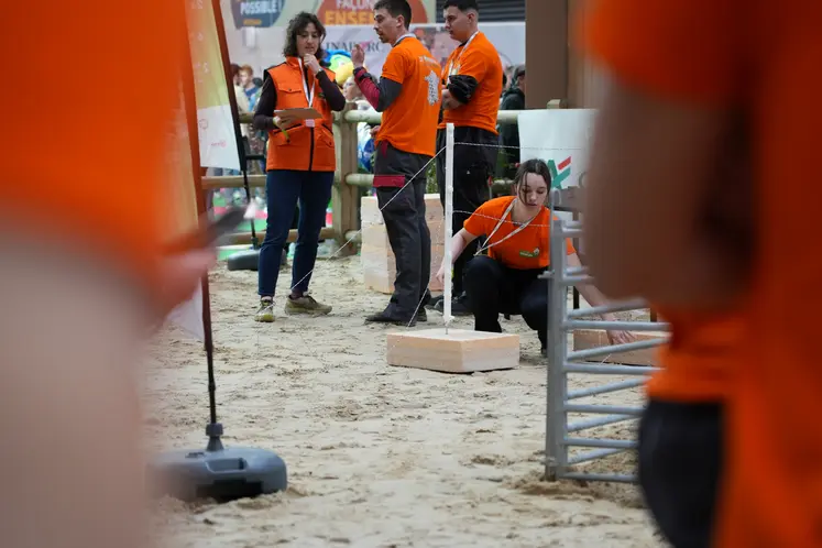 Jeune bergère sur l'épreuve de pose de clôture.