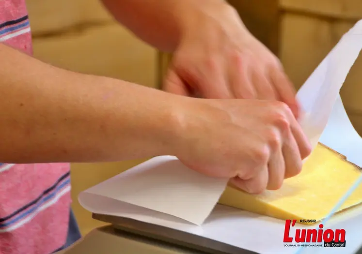 Des mains plient du fromage de cantal dans du papier de conservation. 